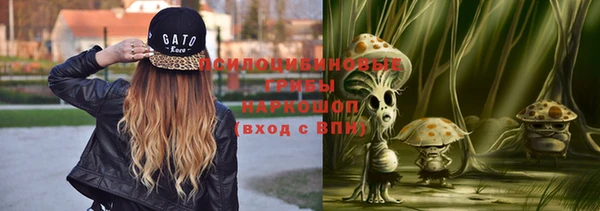 твердый Алексин