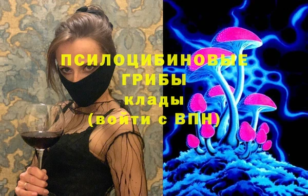 круглые Алзамай