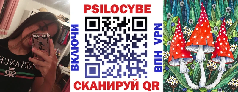 Псилоцибиновые грибы Psilocybe  Тайшет 