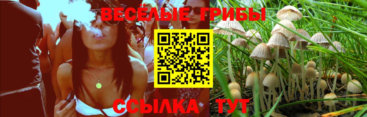 Галлюциногенные грибы GOLDEN TEACHER Тайшет
